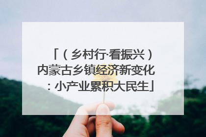（乡村行·看振兴）内蒙古乡镇经济新变化：小产业累积大民生