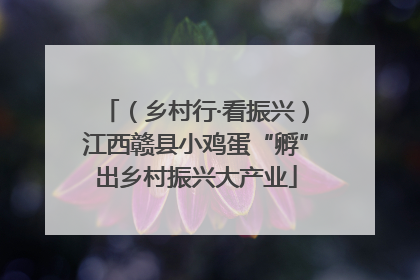 （乡村行·看振兴）江西赣县小鸡蛋“孵”出乡村振兴大产业
