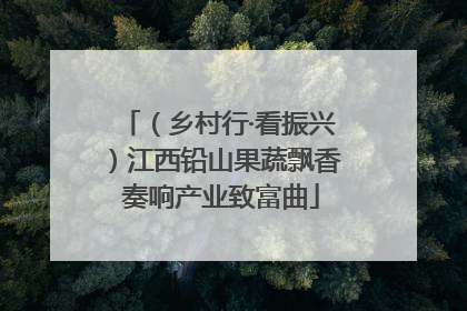 （乡村行·看振兴）江西铅山果蔬飘香 奏响产业致富曲