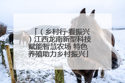 （乡村行·看振兴）江西龙南新型科技赋能智慧农场 特色养殖助力乡村振兴