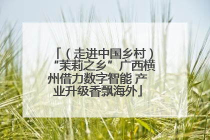 （走进中国乡村）“茉莉之乡”广西横州借力数字智能 产业升级香飘海外