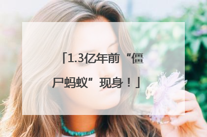 1.3亿年前“僵尸蚂蚁”现身！