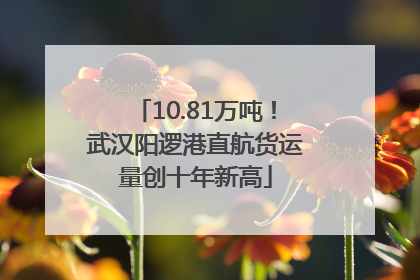 10.81万吨！武汉阳逻港直航货运量创十年新高