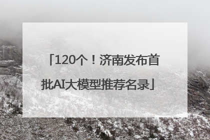 120个！济南发布首批AI大模型推荐名录
