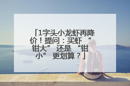 1字头小龙虾再降价！提问：买虾 “钳大” 还是 “钳小” 更划算？