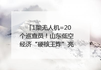 1架无人机=20个巡查员！山东低空经济“硬核王炸”亮相青岛，下一个万亿赛道藏在这里