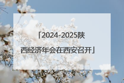 2024-2025陕西经济年会在西安召开