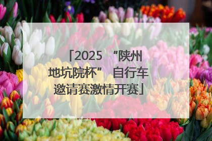 2025 “陕州地坑院杯” 自行车邀请赛激情开赛