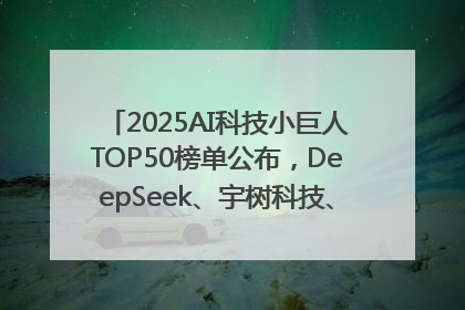 2025AI科技小巨人TOP50榜单公布，DeepSeek、宇树科技、蘑菇车联等企业荣誉上榜