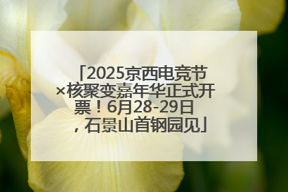 2025京西电竞节×核聚变嘉年华正式开票！6月28-29日，石景山首钢园见