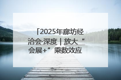 2025年廊坊经洽会·深度｜放大“会展+”乘数效应 打造消费新场景