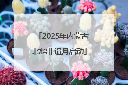 2025年内蒙古北疆非遗月启动