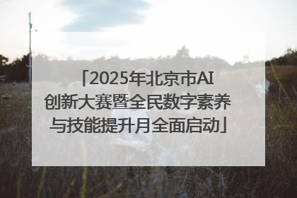 2025年北京市AI创新大赛暨全民数字素养与技能提升月全面启动