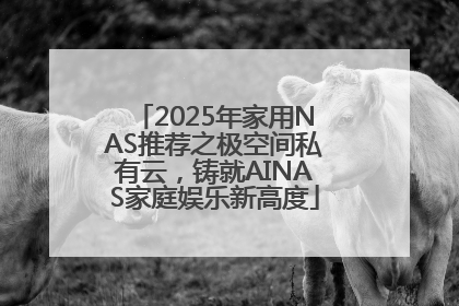 2025年家用NAS推荐之极空间私有云，铸就AINAS家庭娱乐新高度