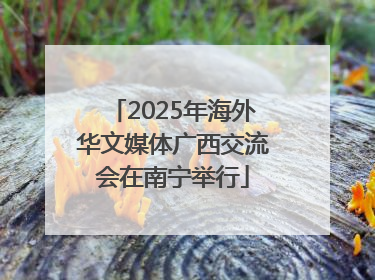 2025年海外华文媒体广西交流会在南宁举行