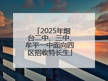 2025年烟台二中、三中、牟平一中面向四区招收特长生