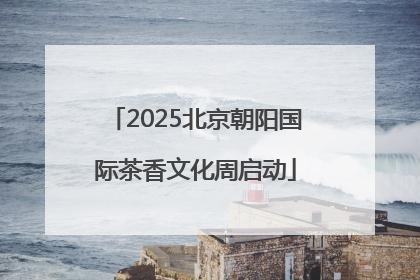 2025北京朝阳国际茶香文化周启动
