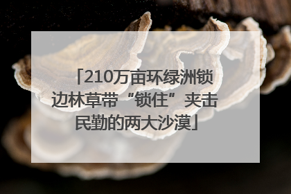 210万亩环绿洲锁边林草带“锁住”夹击民勤的两大沙漠