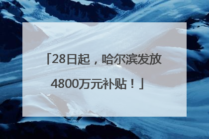 28日起，哈尔滨发放4800万元补贴！
