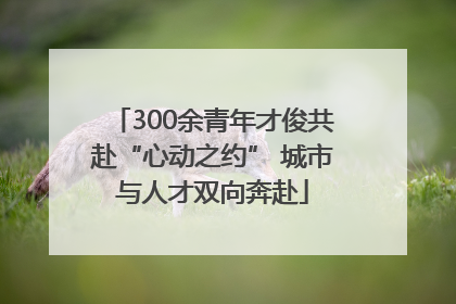 300余青年才俊共赴“心动之约” 城市与人才双向奔赴