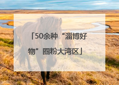 50余种“淄博好物”圈粉大湾区