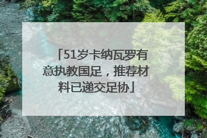 51岁卡纳瓦罗有意执教国足，推荐材料已递交足协