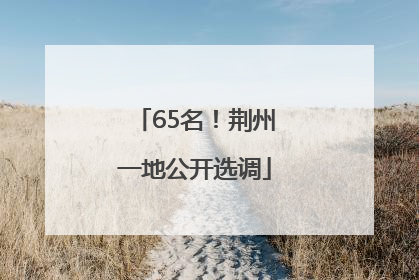 65名！荆州一地公开选调