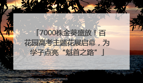 7000株金葵盛放！百花园高考主题花展启幕，为学子点亮“魁首之路”