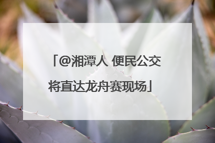 @湘潭人 便民公交将直达龙舟赛现场
