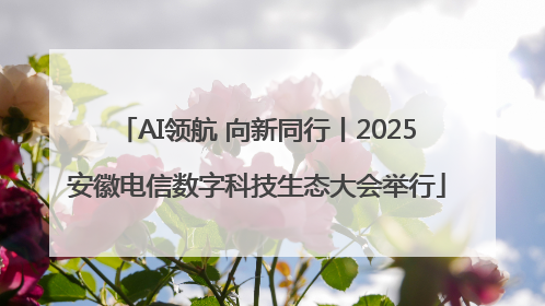 AI领航 向新同行丨2025安徽电信数字科技生态大会举行