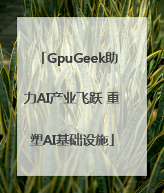 GpuGeek助力AI产业飞跃 重塑AI基础设施