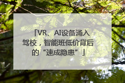 VR、AI设备涌入驾校，智能班低价背后的“速成隐患”