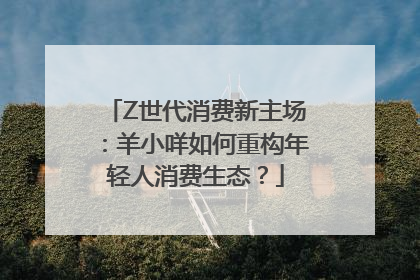 Z世代消费新主场：羊小咩如何重构年轻人消费生态？